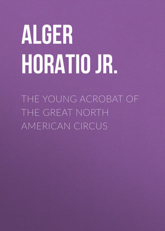 Alger Horatio Jr.. The Young Acrobat of the Great North American Circus