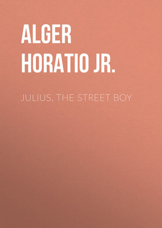 Alger Horatio Jr.. Julius, The Street Boy