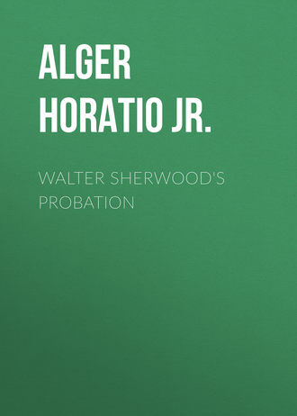 Alger Horatio Jr.. Walter Sherwood's Probation