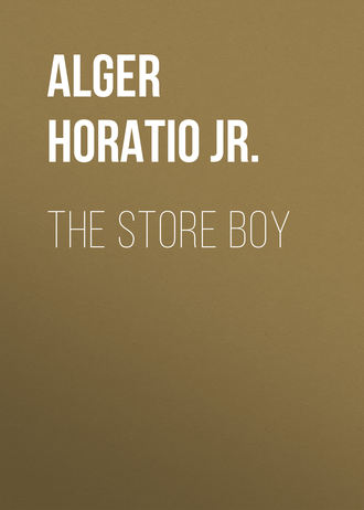 Alger Horatio Jr.. The Store Boy