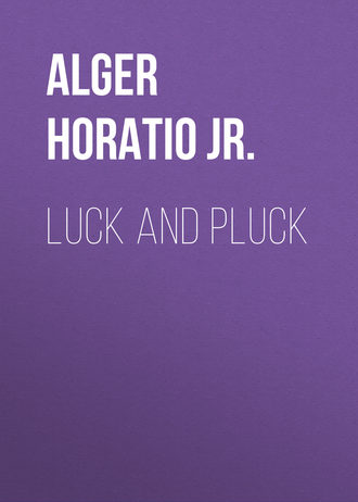 Alger Horatio Jr.. Luck and Pluck