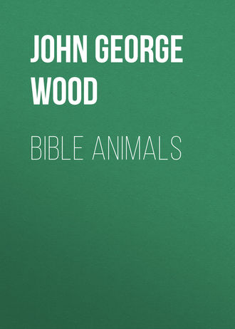 John George Wood. Bible Animals