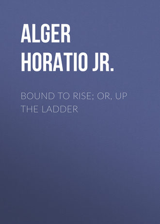 Alger Horatio Jr.. Bound to Rise; Or, Up the Ladder