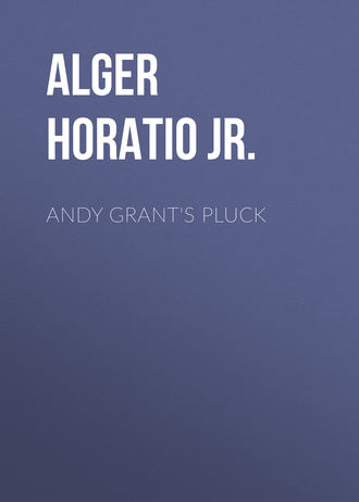 Alger Horatio Jr.. Andy Grant's Pluck