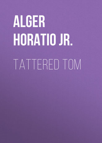 Alger Horatio Jr.. Tattered Tom