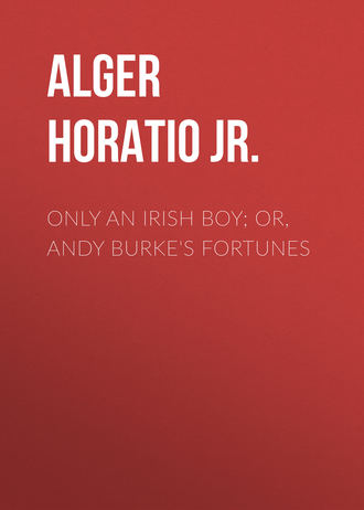 Alger Horatio Jr.. Only an Irish Boy; Or, Andy Burke's Fortunes