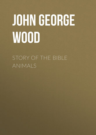 John George Wood. Story of the Bible Animals