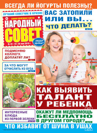 Народный совет №22/2018. Группа авторов