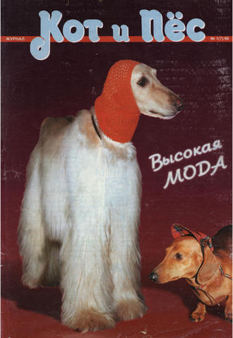 Группа авторов. Кот и Пёс №01/1996