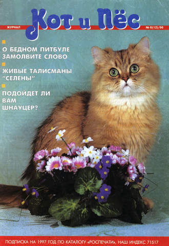 Группа авторов. Кот и Пёс №06/1996