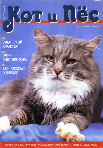Группа авторов. Кот и Пёс №08/1996