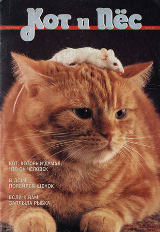 Группа авторов. Кот и Пёс №02/1995