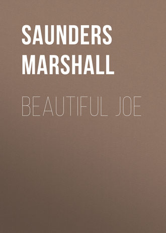 Saunders Marshall. Beautiful Joe