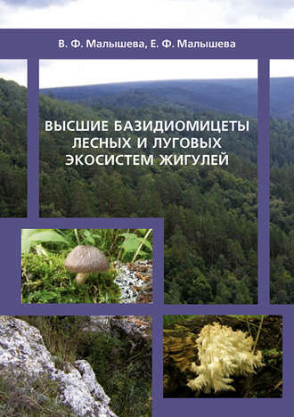Е. Ф. Малышева. Высшие базидиомицеты лесных и луговых экосистем Жигулей