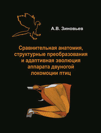 А. В. Зиновьев. Сравнительная анатомия, структурные преобразования и адаптивная эволюция аппарата двуногой локомоции птиц