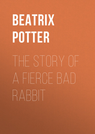 Беатрис Поттер. The Story of a Fierce Bad Rabbit