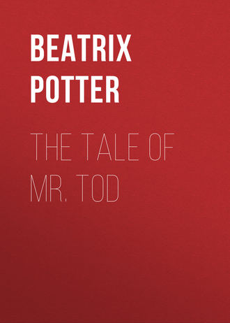 Беатрис Поттер. The Tale of Mr. Tod