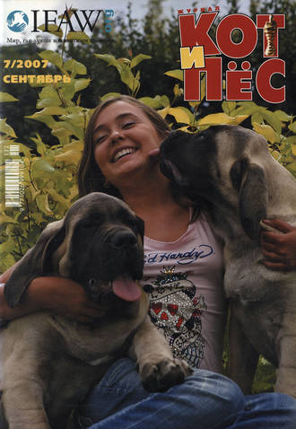 Группа авторов. Кот и Пёс №7/2007