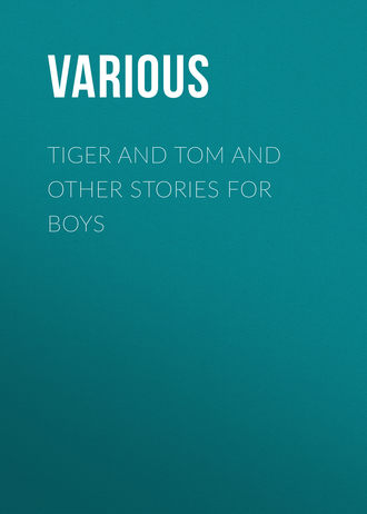 Various. Tiger and Tom and Other Stories for Boys