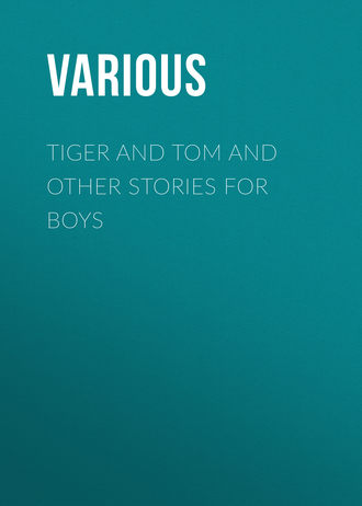 Tiger and Tom and Other Stories for Boys. 