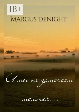 Marcus Denight. И мы не замечаем мелочей…