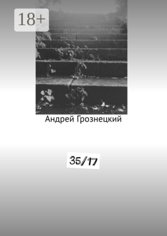 35/17. Андрей Грознецкий