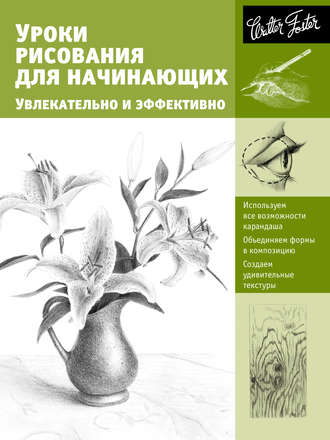 Уроки рисования для начинающих. Увлекательно и эффективно. Диана Кардаччи