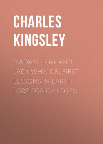 Charles Kingsley. Madam How and Lady Why; Or, First Lessons in Earth Lore for Children
