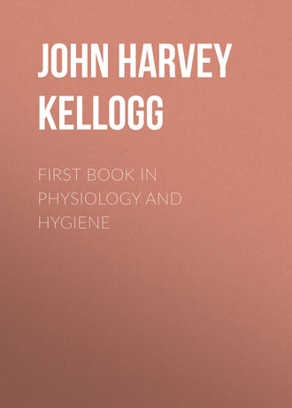 John Harvey Kellogg. First Book in Physiology and Hygiene