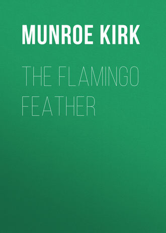 Munroe Kirk. The Flamingo Feather
