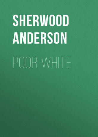 Шервуд Андерсон. Poor White