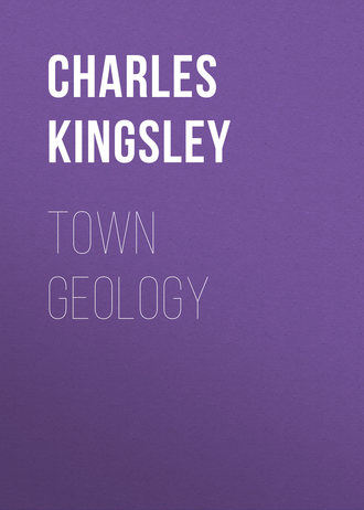 Charles Kingsley. Town Geology
