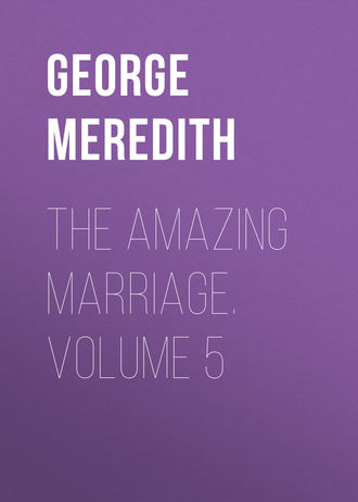 George Meredith. The Amazing Marriage. Volume 5