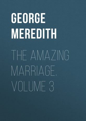George Meredith. The Amazing Marriage. Volume 3