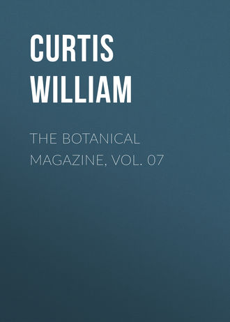 Curtis William. The Botanical Magazine, Vol. 07