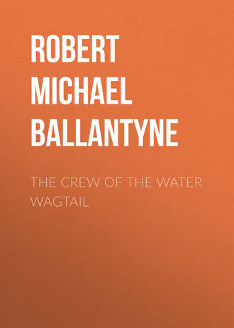 Robert Michael Ballantyne. The Crew of the Water Wagtail