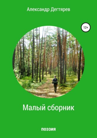 Малый сборник. Александр Вячеславович Дегтярев