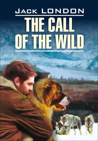 The Call of the Wild / Зов предков. Книга для чтения на английском языке. 