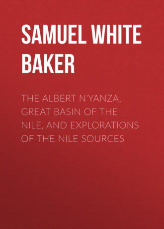 The Albert N'Yanza, Great Basin of the Nile, And Explorations of the Nile Sources. 