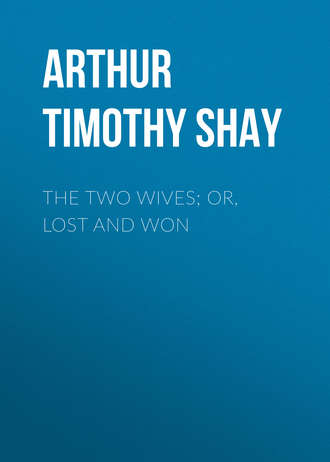 Arthur Timothy Shay. The Two Wives; Or, Lost and Won