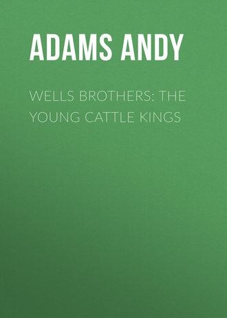 Adams Andy. Wells Brothers: The Young Cattle Kings