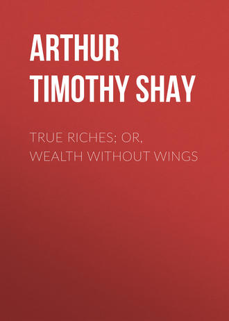 Arthur Timothy Shay. True Riches; Or, Wealth Without Wings