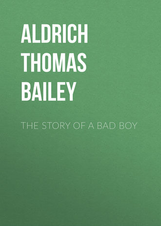 Aldrich Thomas Bailey. The Story of a Bad Boy