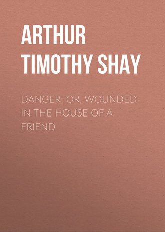 Arthur Timothy Shay. Danger; Or, Wounded in the House of a Friend