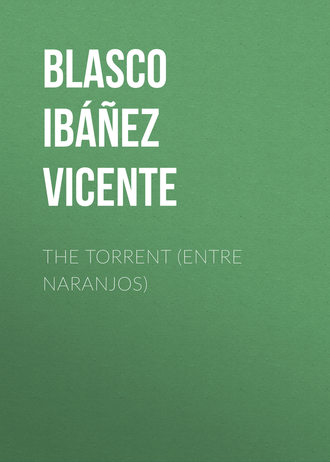 The Torrent (Entre Naranjos). 