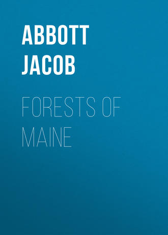 Abbott Jacob. Forests of Maine