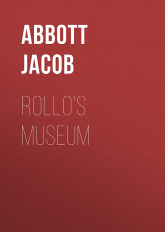 Abbott Jacob. Rollo's Museum