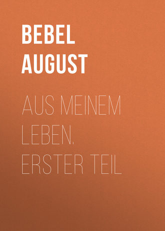 Aus meinem Leben.  Erster Teil. 