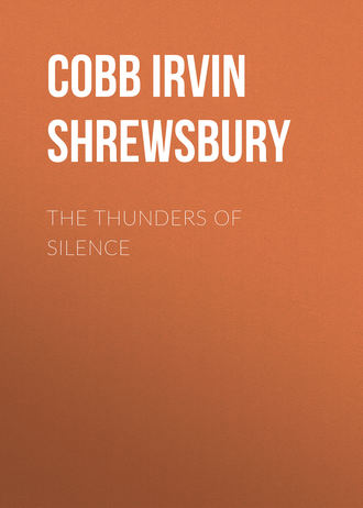 Cobb Irvin Shrewsbury. The Thunders of Silence