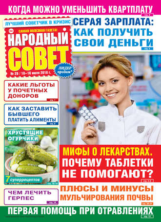 Народный совет №29/2018. Группа авторов